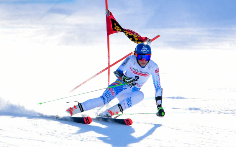 En alpin skidåkare rundar en port i en slalombacke i hög hastighet.